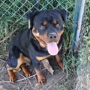 Meet your Posher, Courtney